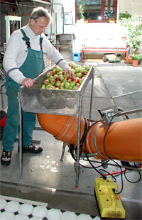 Obsteinlauf